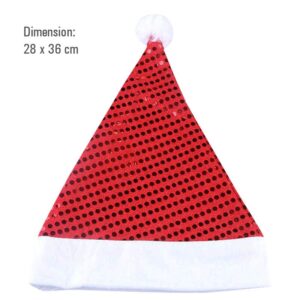 Christmas Hat with Sequins