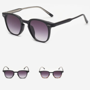 R-029 Wayfarer Sunglasses